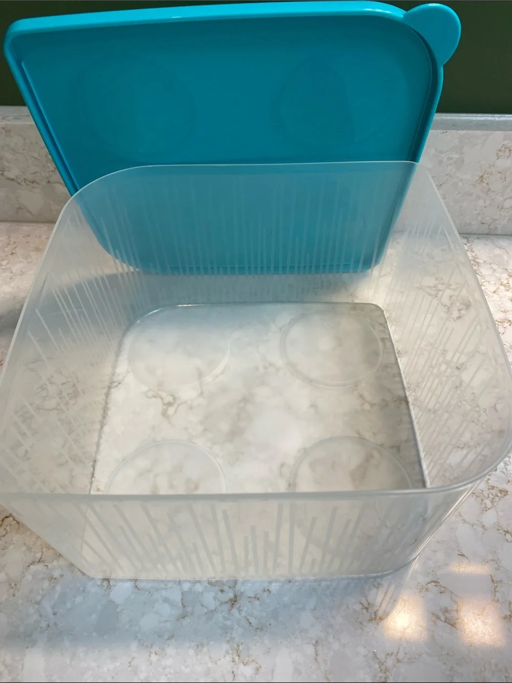 Tupperware Clear Container with Bright Teal Lid